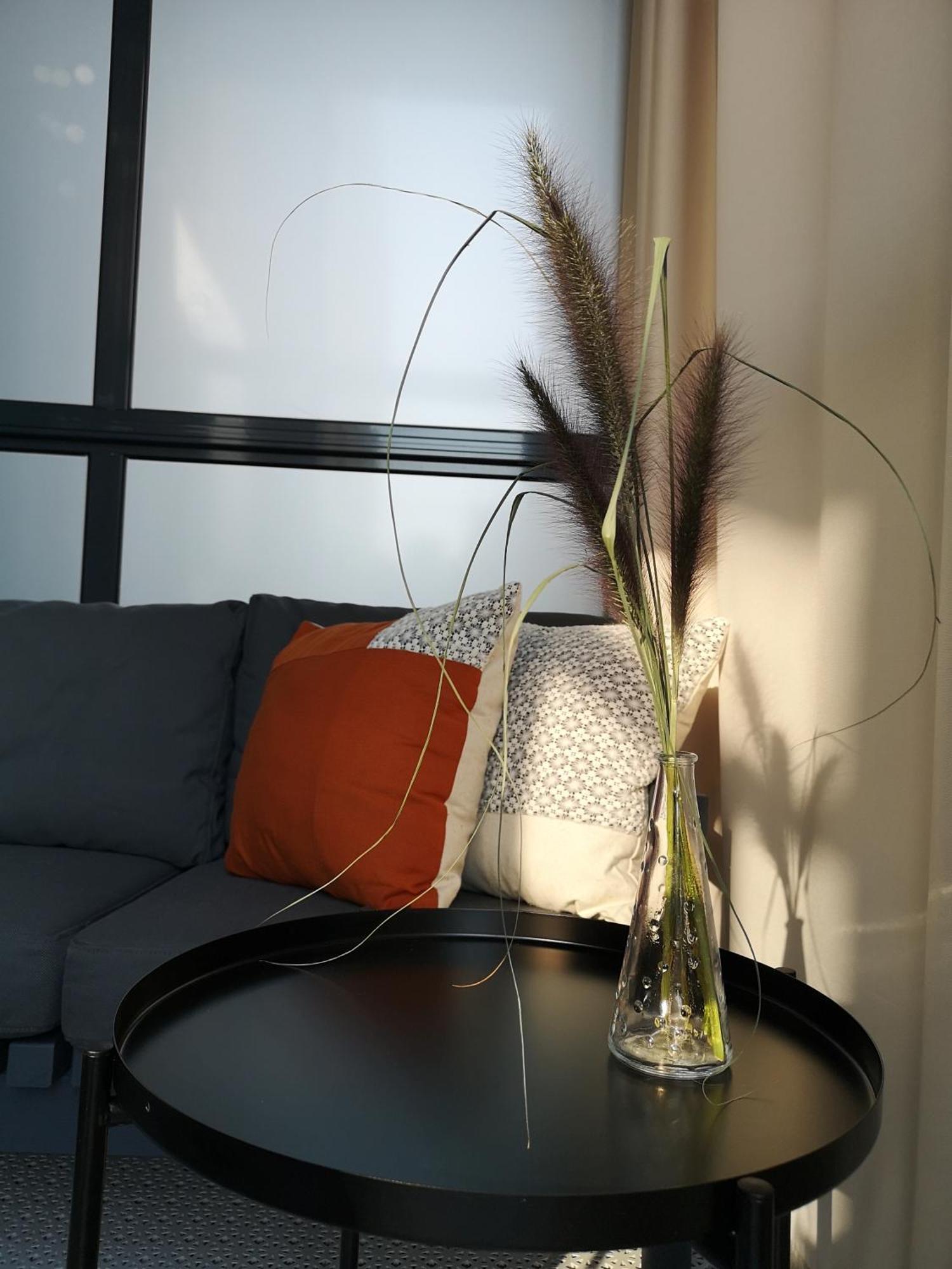 Parko Rezidencija Apartments - Self Check-In Panevėžys エクステリア 写真